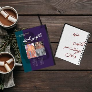جزوه دانشگاهی خلاصه درس آناتومی عضلات سر و گردن علوم پزشکی