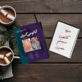 جزوه دانشگاهی خلاصه درس آناتومی سیستم عصبی علوم پزشکی