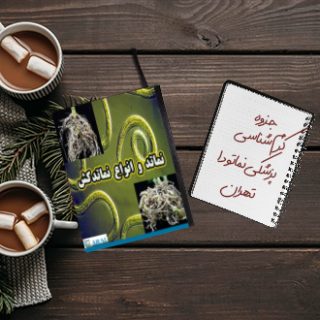 جزوه کرم‌شناسی پزشکی نماتودا دکتر بدرزاده تهران