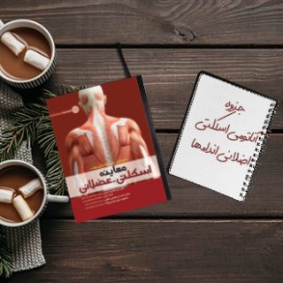 جزوه آناتومی اسکلتی عضلانی اندام‌ها دانشگاه علوم پزشکی اصفهان